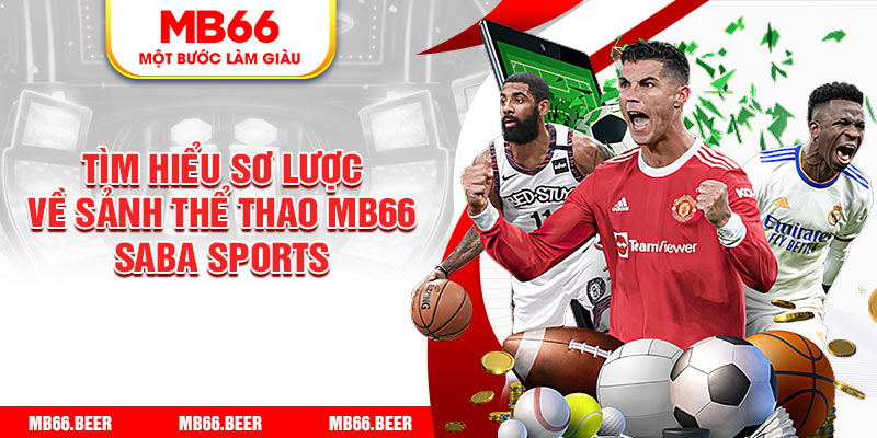 Tìm hiểu sơ lược về sảnh thể thao MB66 Saba Sports