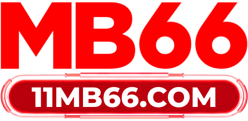 11mb66.com